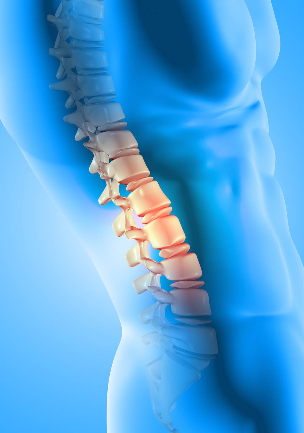 3d render of a male medical figure with spine highlighted(1)