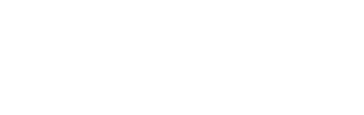 Chiro-Guys-Chiropractic-Giveaway-Logo-white